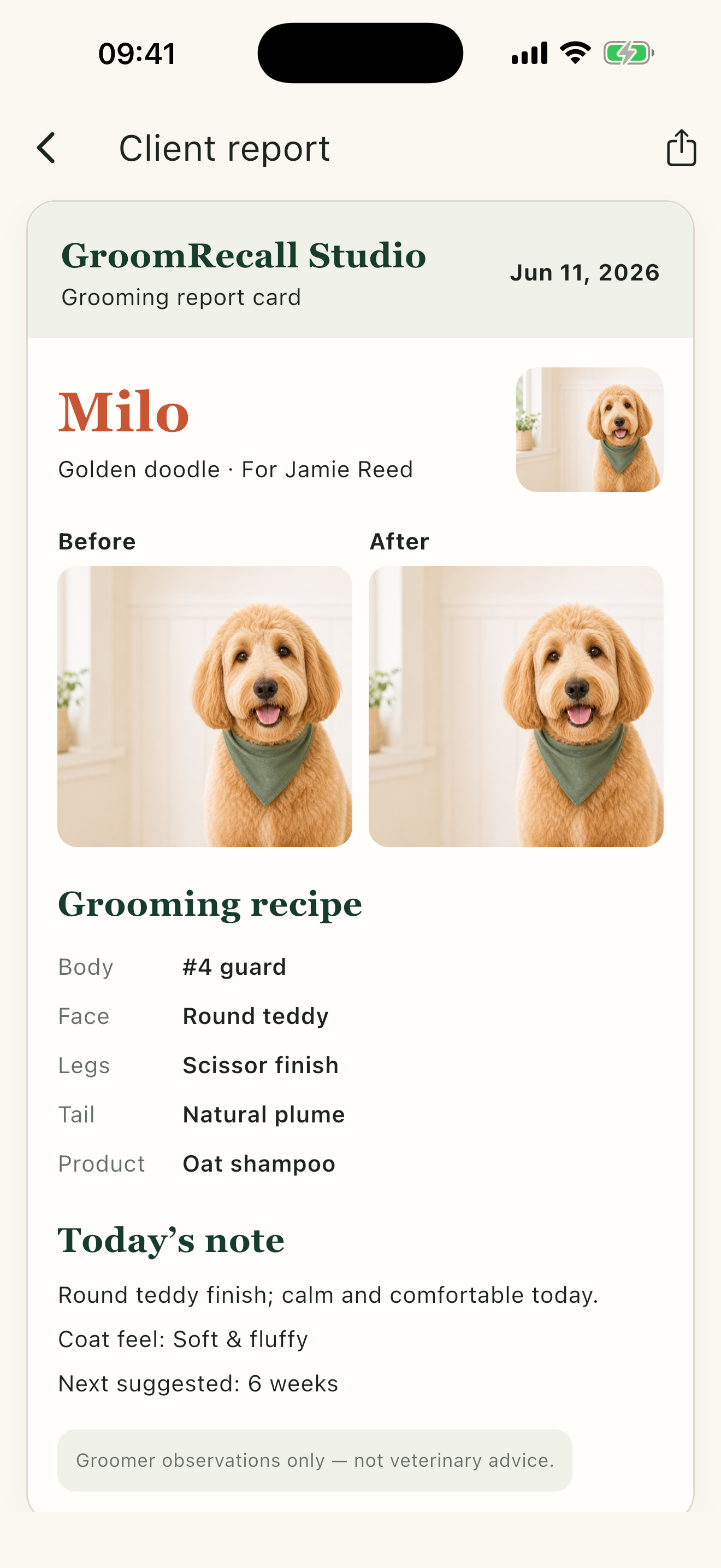 A GroomRecall client report preview for Milo showing before and after photos and the grooming recipe.